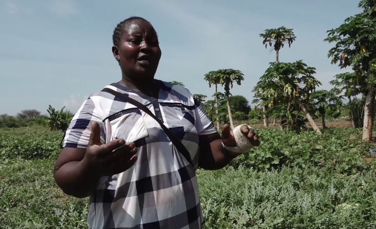 CS For East Africa Affairs, Arid and Semi-Arid Lands roots for farming to address poverty