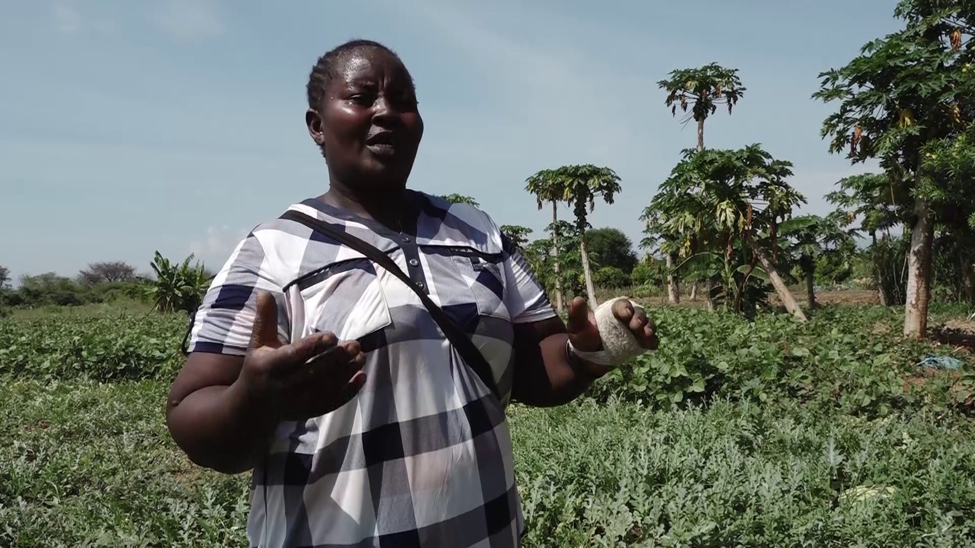 CS For East Africa Affairs, Arid and Semi-Arid Lands roots for farming to address poverty