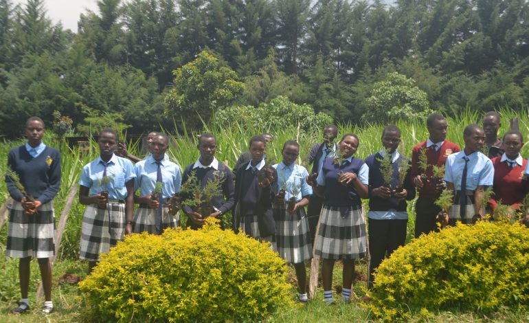 Kericho school launches ambitious tree planting exercise